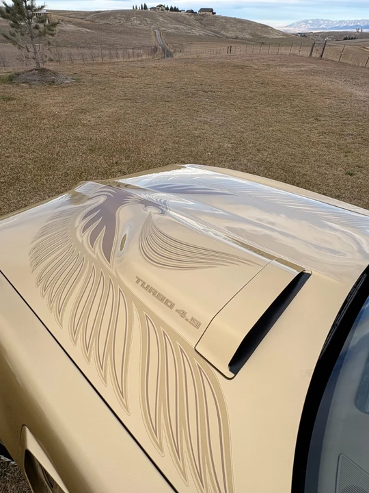 1980 Pontiac Firebird 2nd Gen - Image 6 of 21