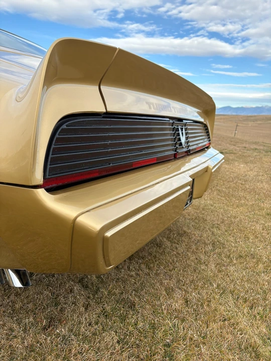1980 Pontiac Firebird 2nd Gen - Image 11 of 21