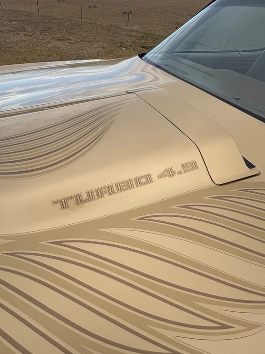 1980 Pontiac Firebird 2nd Gen - Image 5 of 21