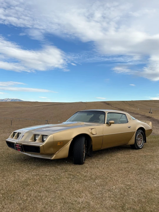 1980 Pontiac Firebird 2nd Gen - Image 19 of 21