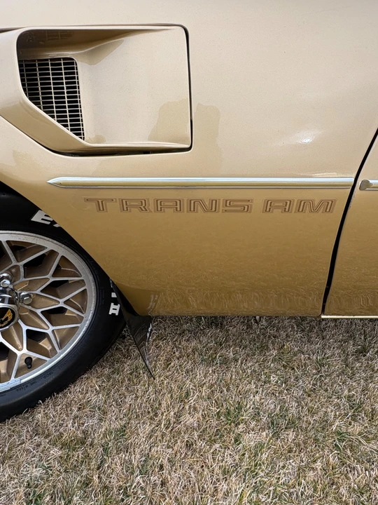 1980 Pontiac Firebird 2nd Gen - Image 8 of 21
