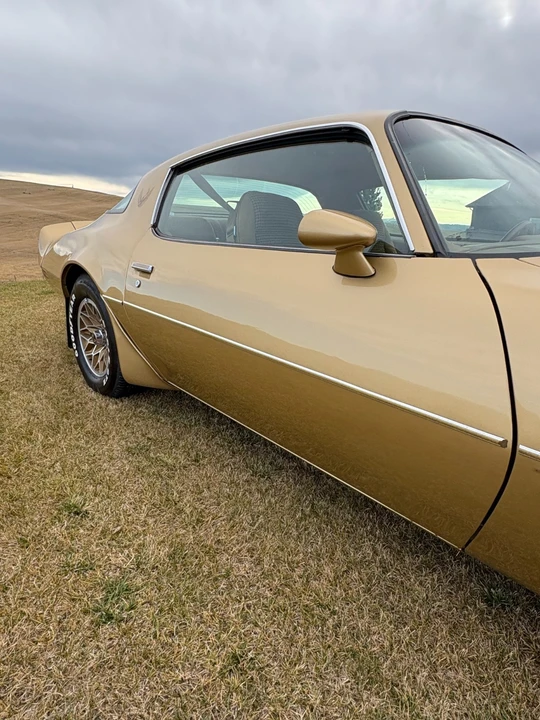 1980 Pontiac Firebird 2nd Gen - Image 7 of 21