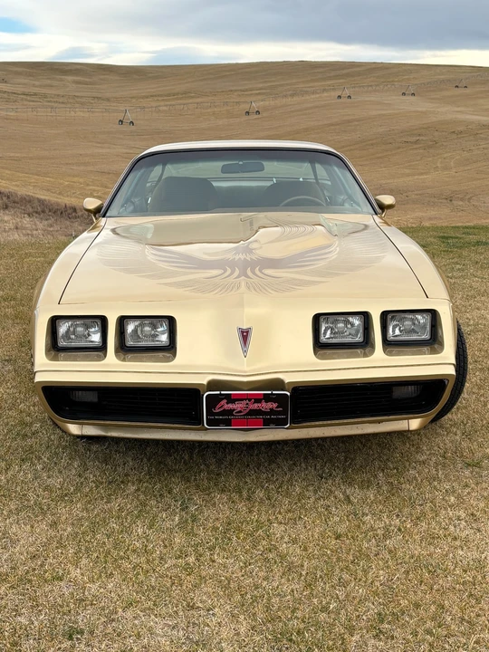 1980 Pontiac Firebird 2nd Gen - Image 13 of 21