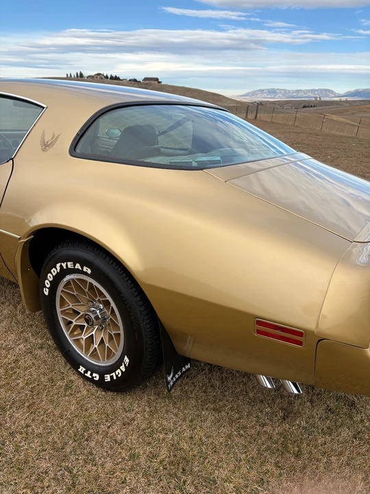 1980 Pontiac Firebird 2nd Gen - Image 20 of 21