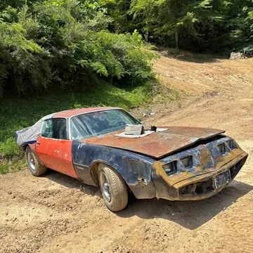 1980 Pontiac Firebird Convertible 2D