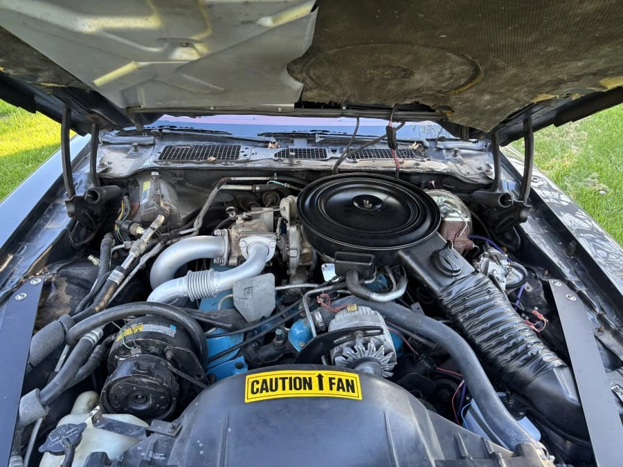 1980 Pontiac Firebird 2nd Gen - Image 10 of 11