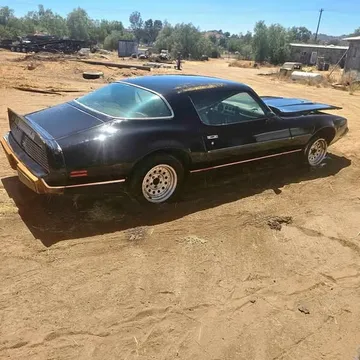 1980 Pontiac Firebird Formula Coupe 2D