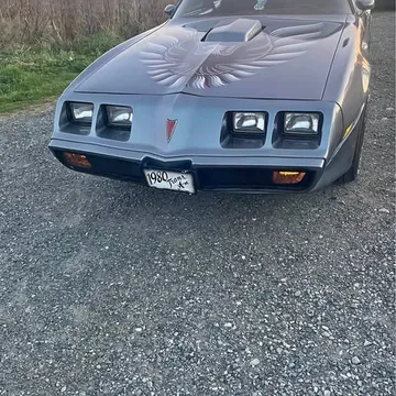 1980 Pontiac Firebird