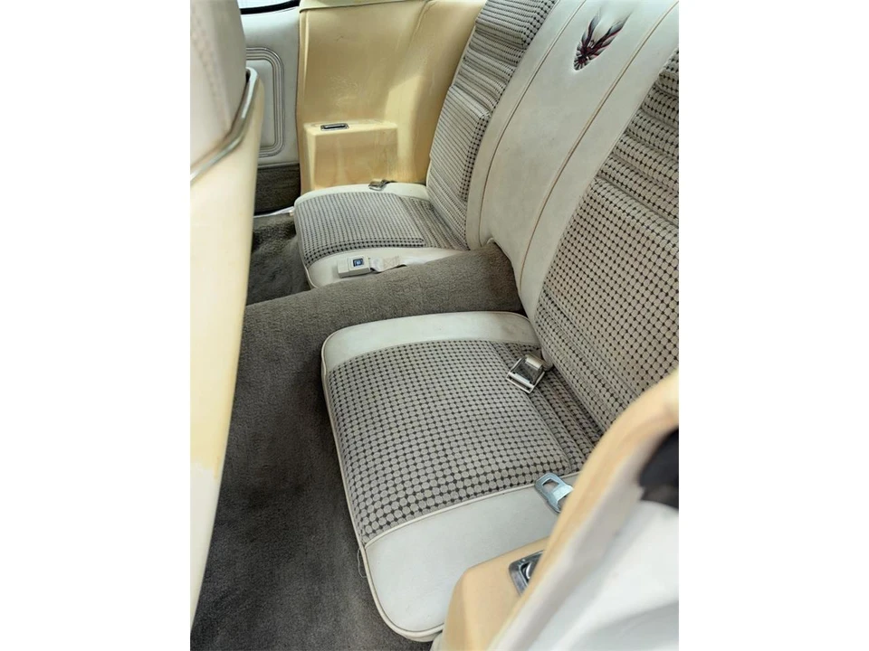 1980 Pontiac Firebird Trans Am 2nd Gen - Image 13 of 19