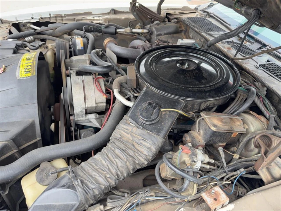 1980 Pontiac Firebird Trans Am 2nd Gen - Image 19 of 19