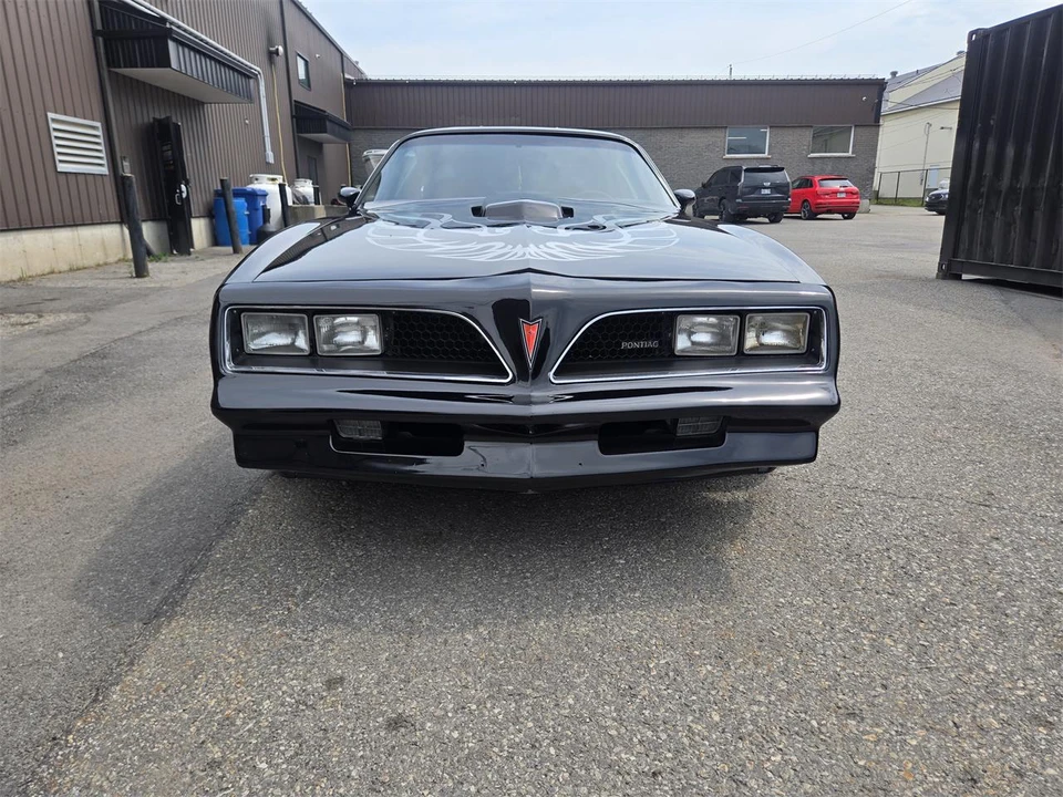 1980 Pontiac Firebird Trans Am 2nd Gen - Image 14 of 31