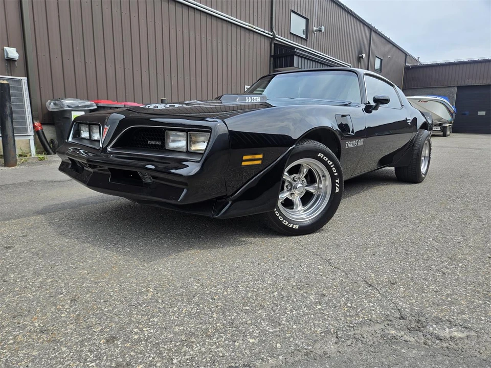 1980 Pontiac Firebird Trans Am 2nd Gen - Image 17 of 31