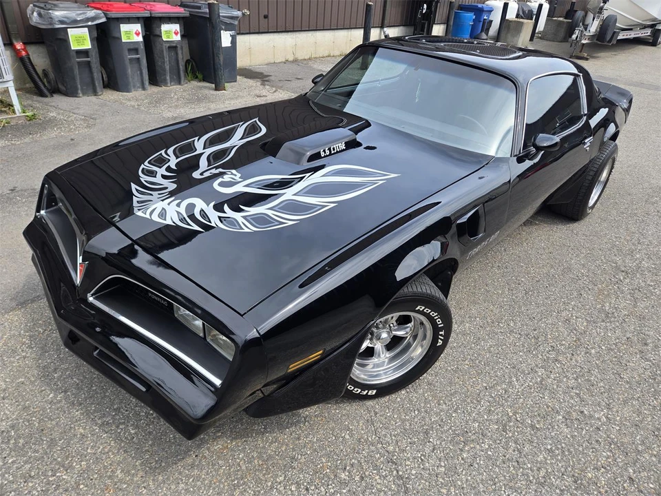 1980 Pontiac Firebird Trans Am 2nd Gen - Image 16 of 31
