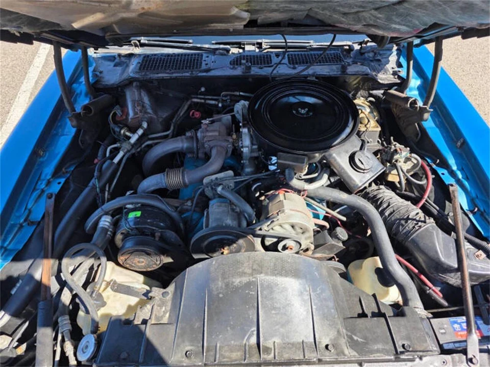 1980 Pontiac Firebird Trans Am 2nd Gen - Image 28 of 31