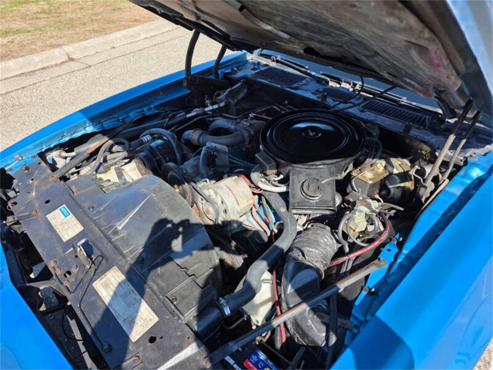 1980 Pontiac Firebird Trans Am 2nd Gen - Image 29 of 31