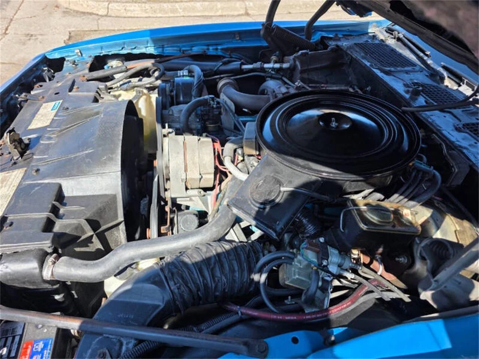 1980 Pontiac Firebird Trans Am 2nd Gen - Image 30 of 31
