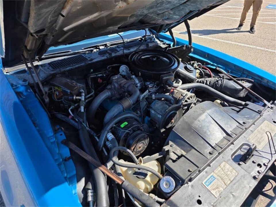 1980 Pontiac Firebird Trans Am 2nd Gen - Image 31 of 31