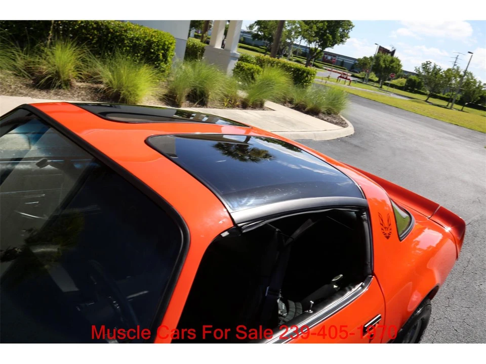 1980 Pontiac Firebird Trans Am 2nd Gen - Image 25 of 31