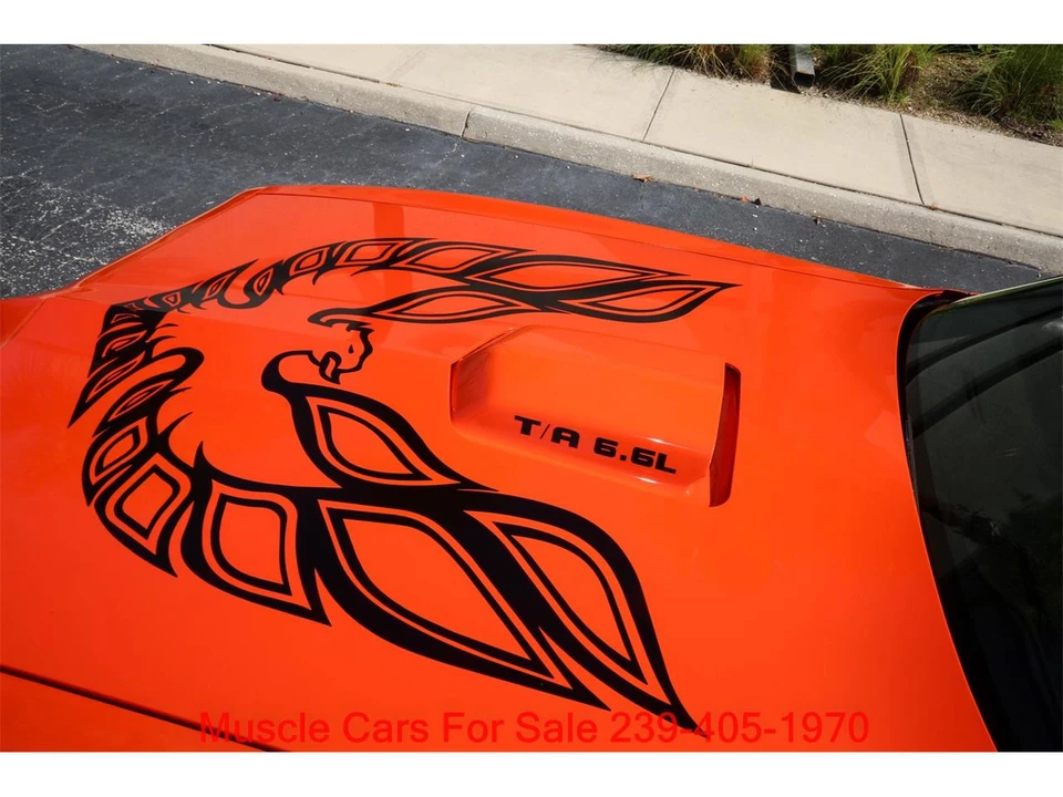1980 Pontiac Firebird Trans Am 2nd Gen - Image 2 of 31