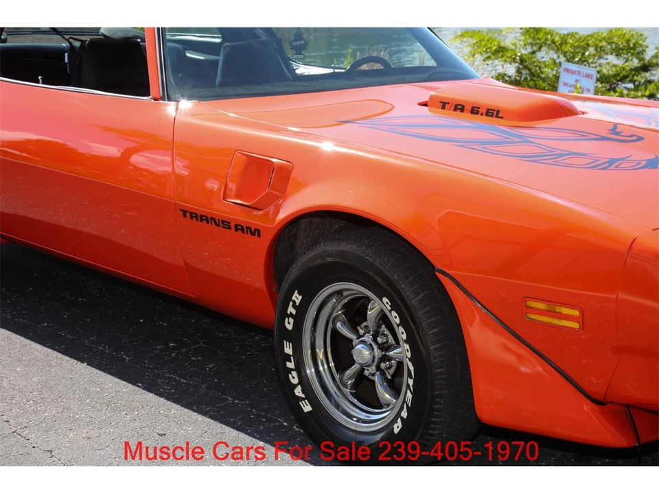 1980 Pontiac Firebird Trans Am 2nd Gen - Image 7 of 31
