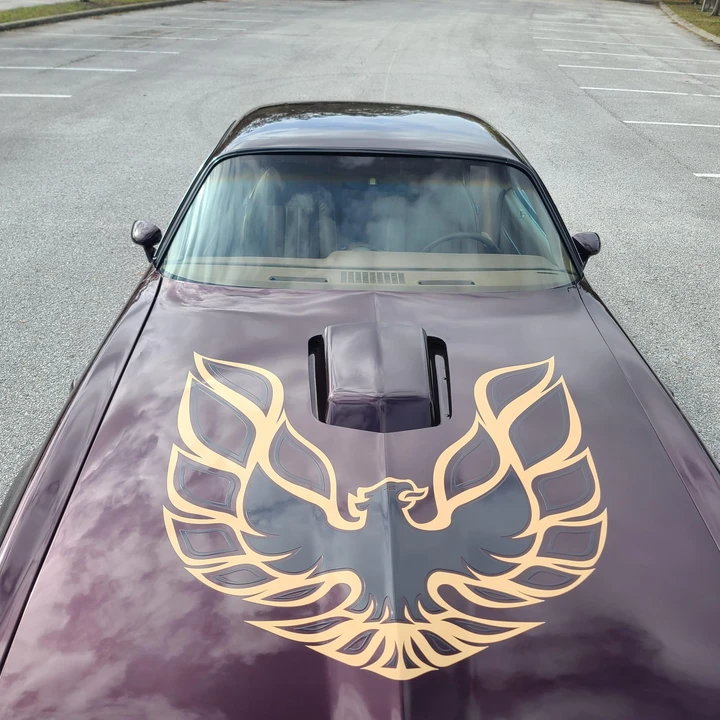 1980 Pontiac Firebird Trans Am 2nd Gen - Image 16 of 31