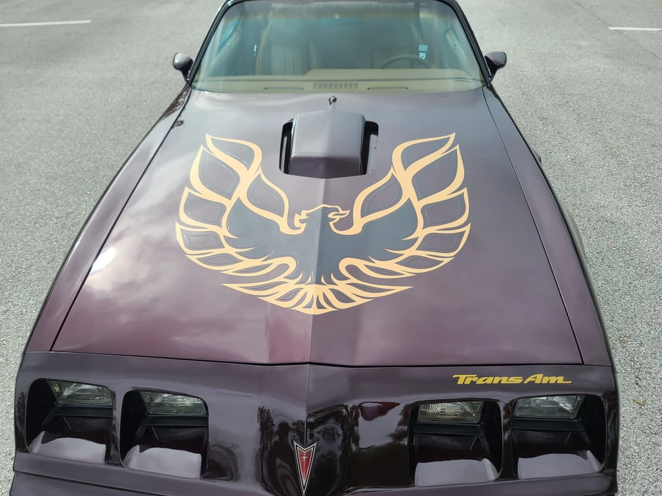 1980 Pontiac Firebird Trans Am 2nd Gen - Image 15 of 31