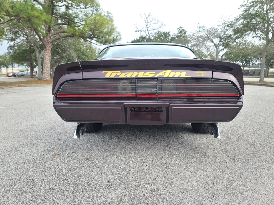 1980 Pontiac Firebird Trans Am 2nd Gen - Image 12 of 31