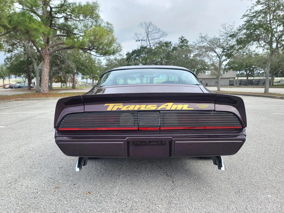 1980 Pontiac Firebird Trans Am 2nd Gen - Image 11 of 31