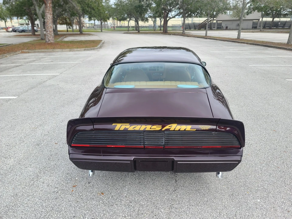 1980 Pontiac Firebird Trans Am 2nd Gen - Image 9 of 31