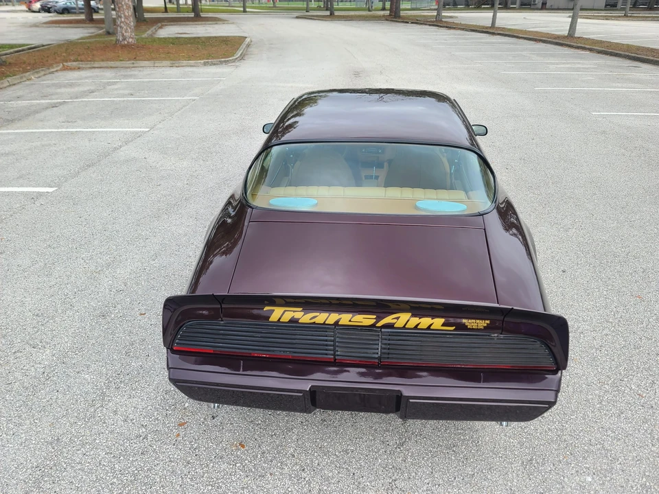 1980 Pontiac Firebird Trans Am 2nd Gen - Image 8 of 31