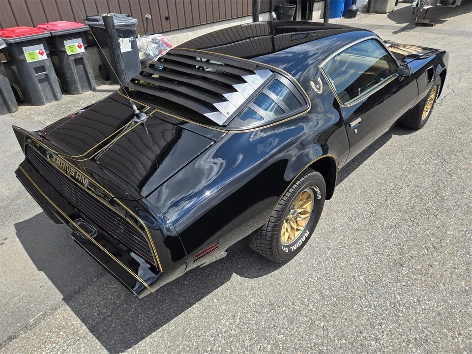 1980 Pontiac Firebird Trans Am 2nd Gen - Image 9 of 31