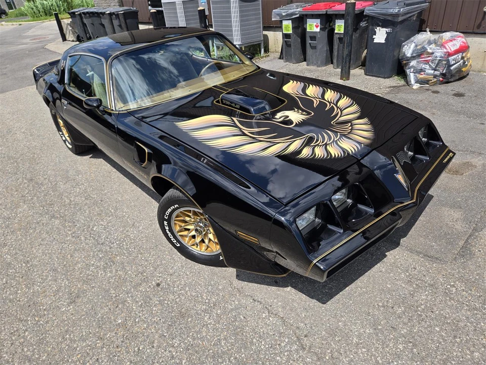 1980 Pontiac Firebird Trans Am 2nd Gen - Image 13 of 31