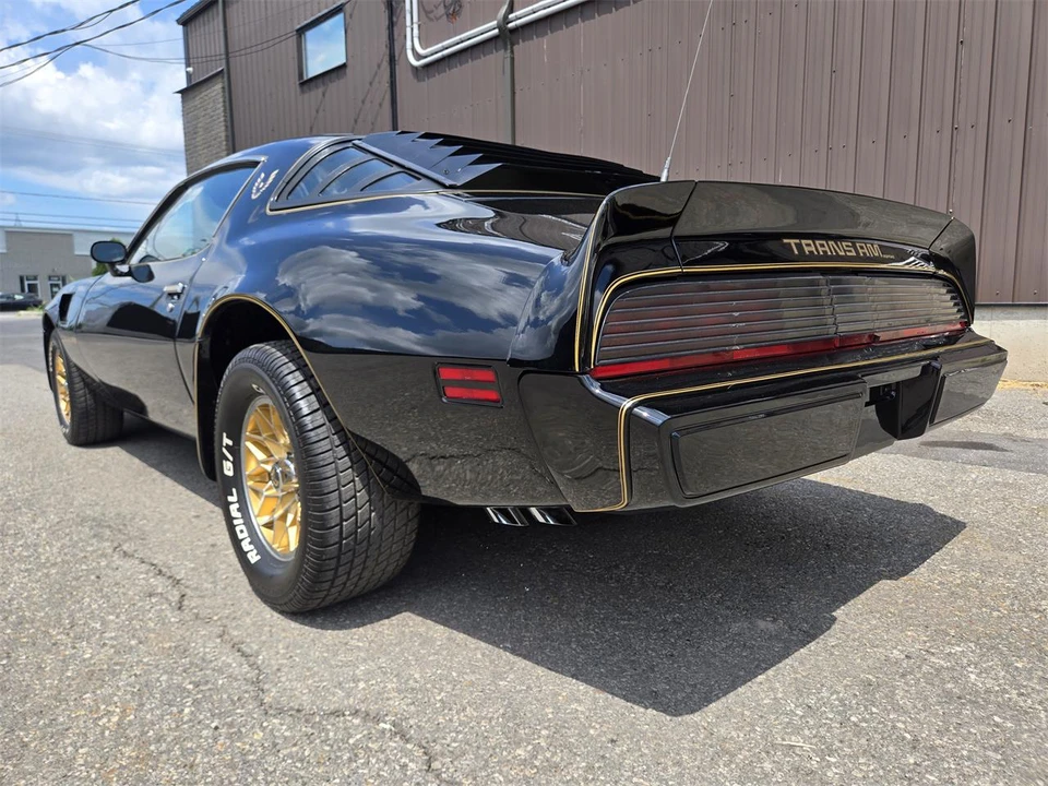 1980 Pontiac Firebird Trans Am 2nd Gen - Image 4 of 31