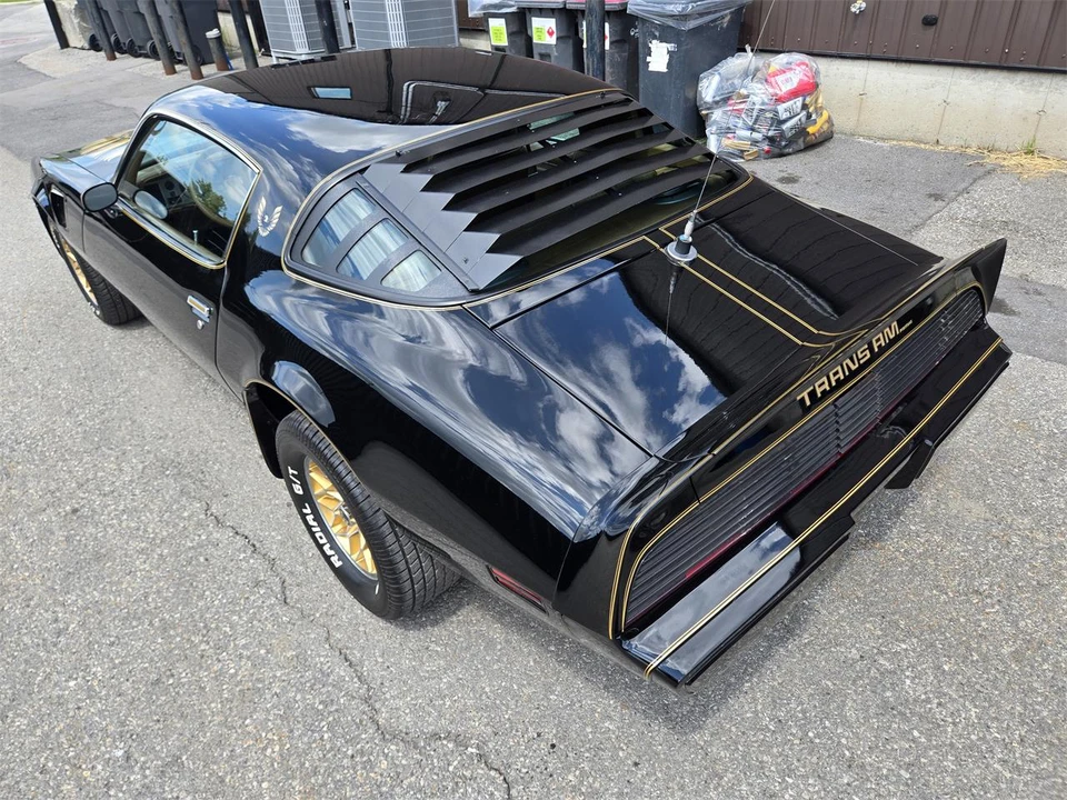1980 Pontiac Firebird Trans Am 2nd Gen - Image 6 of 31