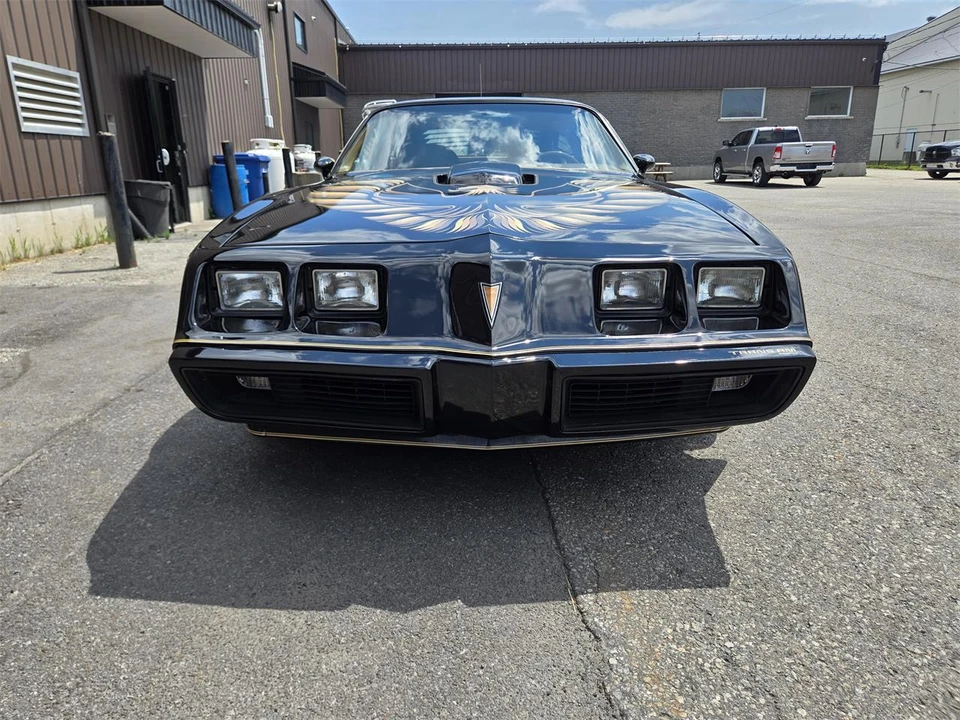 1980 Pontiac Firebird Trans Am 2nd Gen - Image 14 of 31