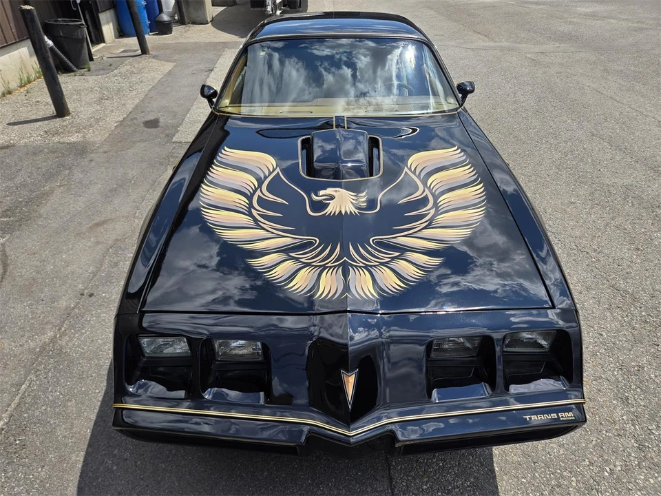 1980 Pontiac Firebird Trans Am 2nd Gen - Image 15 of 31