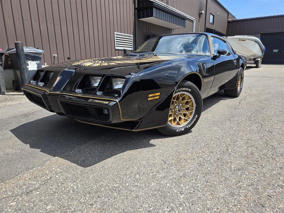 1980 Pontiac Firebird Trans Am 2nd Gen - Image 17 of 31