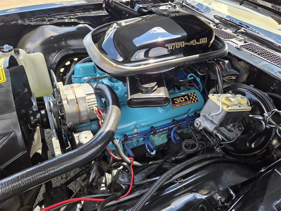 1980 Pontiac Firebird Trans Am 2nd Gen - Image 31 of 31