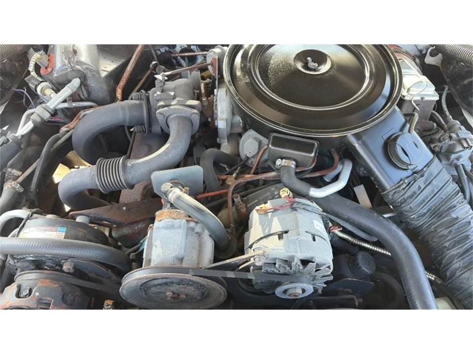 1980 Pontiac Firebird Trans Am 2nd Gen - Image 19 of 31
