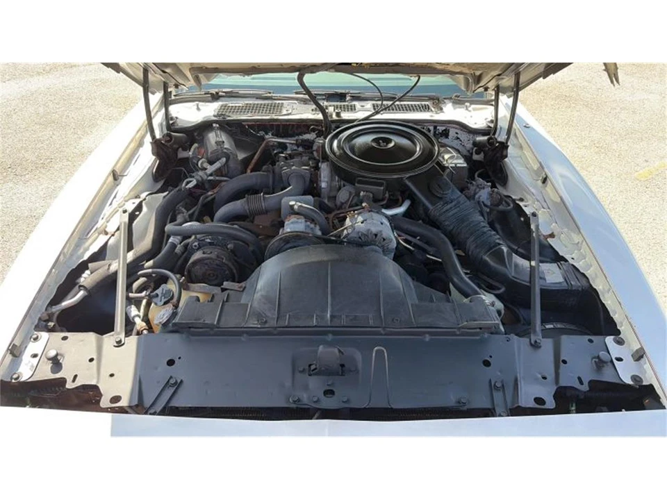 1980 Pontiac Firebird Trans Am 2nd Gen - Image 11 of 31