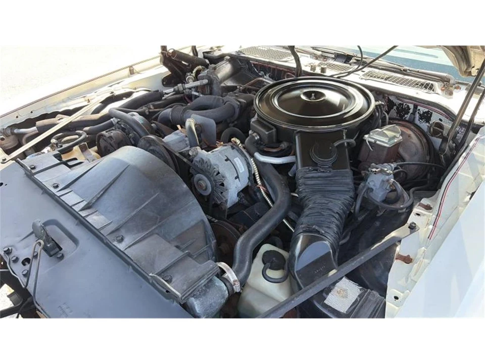 1980 Pontiac Firebird Trans Am 2nd Gen - Image 12 of 31