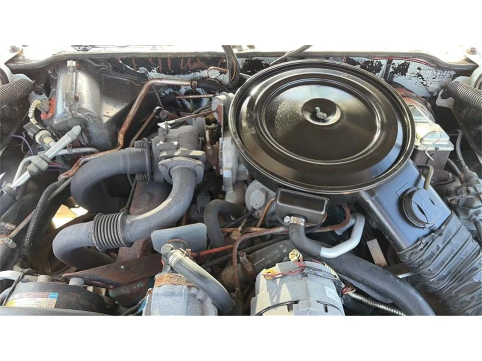1980 Pontiac Firebird Trans Am 2nd Gen - Image 18 of 31