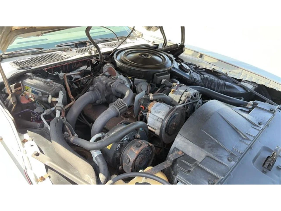 1980 Pontiac Firebird Trans Am 2nd Gen - Image 10 of 31