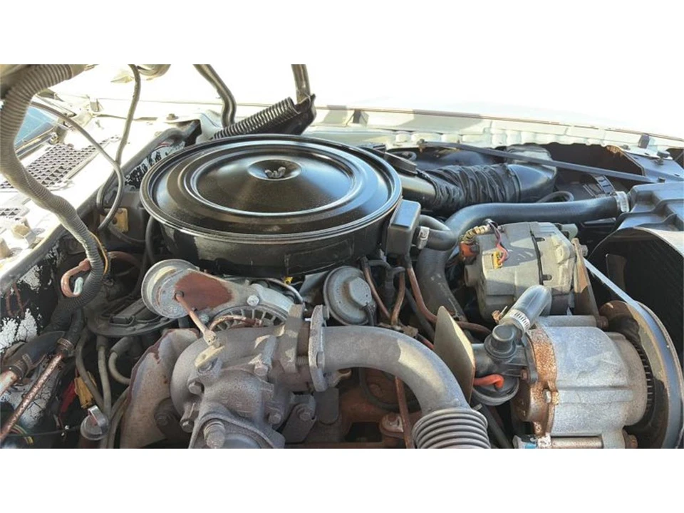 1980 Pontiac Firebird Trans Am 2nd Gen - Image 14 of 31