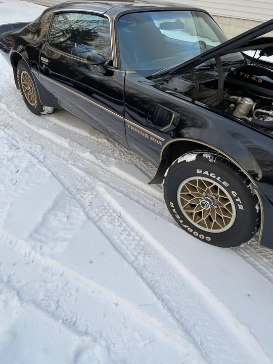 1980 Pontiac Firebird Trans Am 2nd Gen - Image 15 of 31