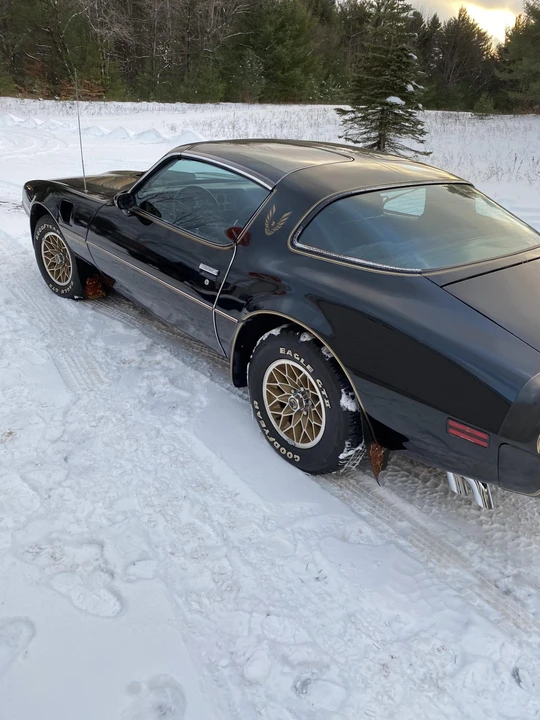 1980 Pontiac Firebird Trans Am 2nd Gen - Image 29 of 31