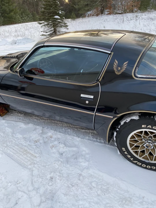 1980 Pontiac Firebird Trans Am 2nd Gen - Image 26 of 31