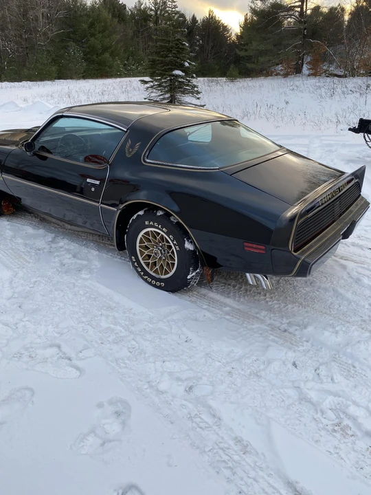 1980 Pontiac Firebird Trans Am 2nd Gen - Image 30 of 31