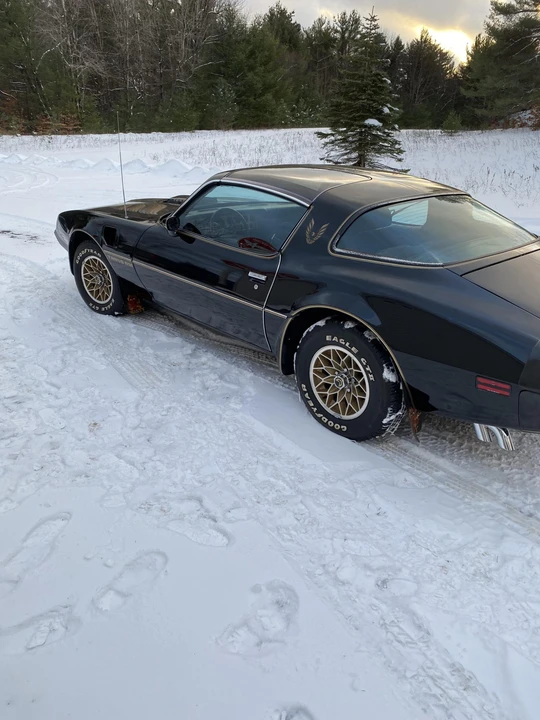 1980 Pontiac Firebird Trans Am 2nd Gen - Image 28 of 31