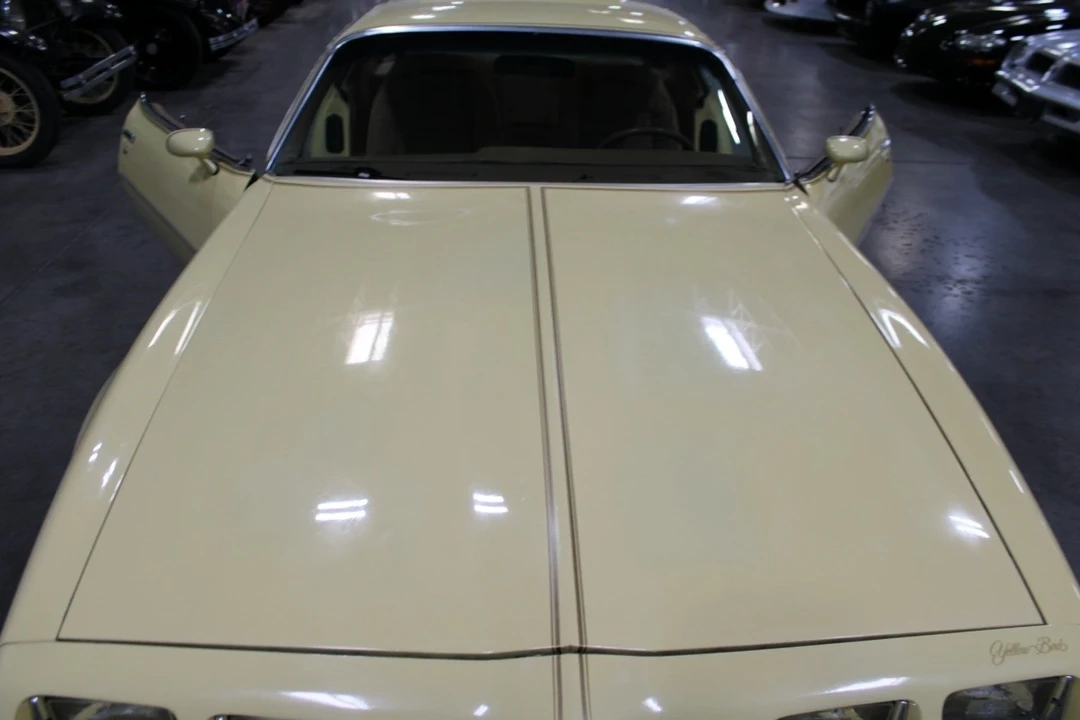 1980 Pontiac Firebird 2nd Gen - Image 12 of 12